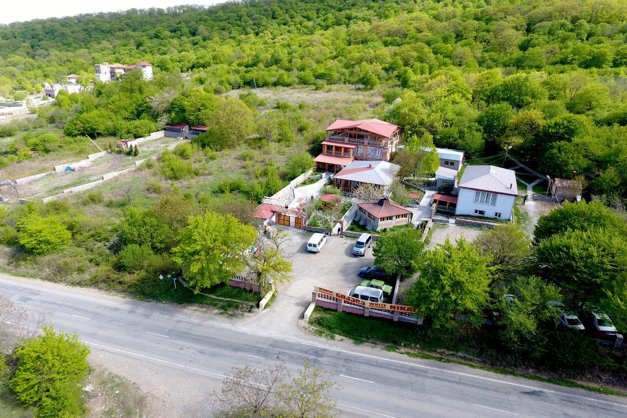 Nikala Bed & Breakfast Telavi Bagian luar foto
