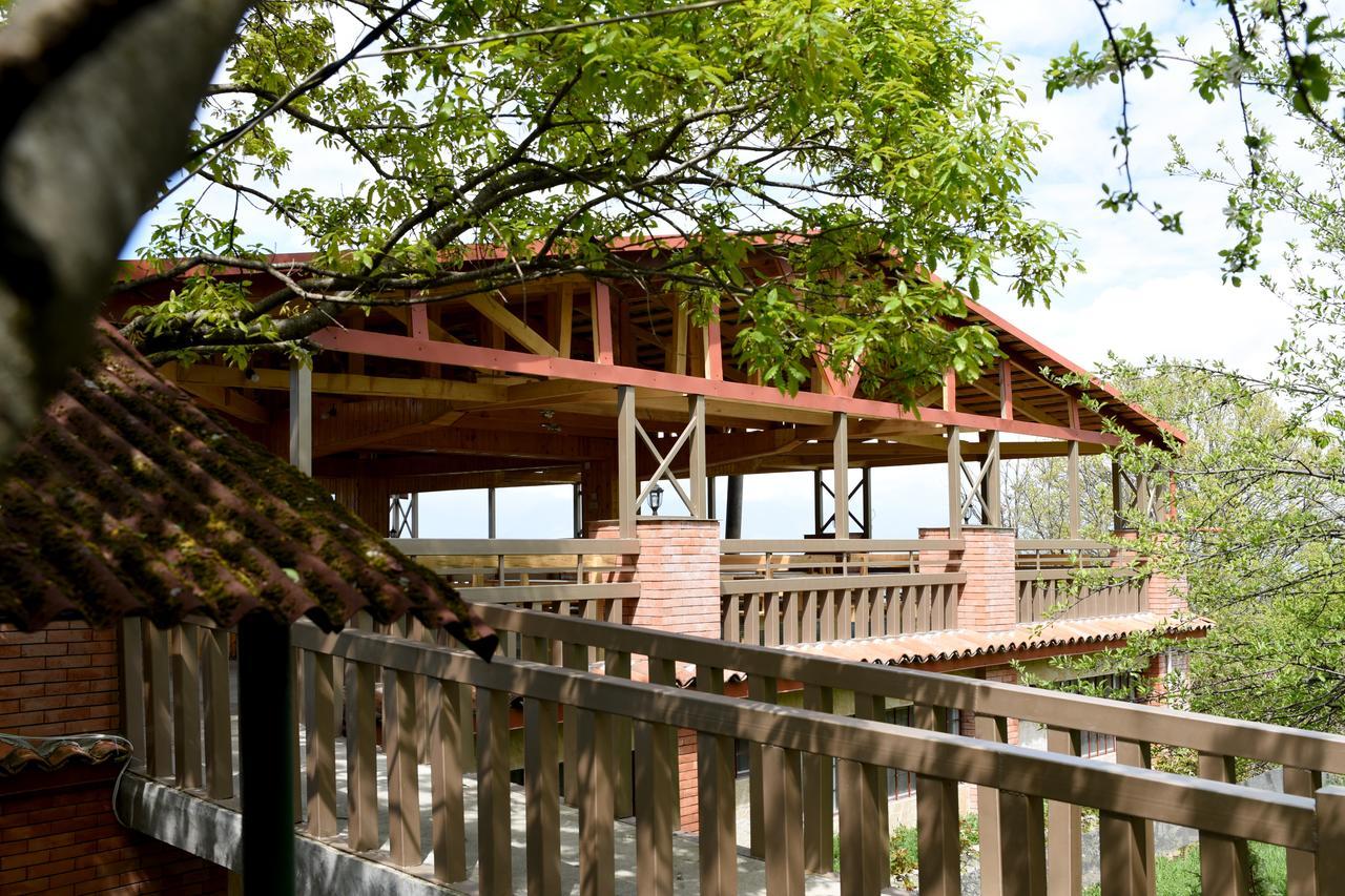 Nikala Bed & Breakfast Telavi Bagian luar foto