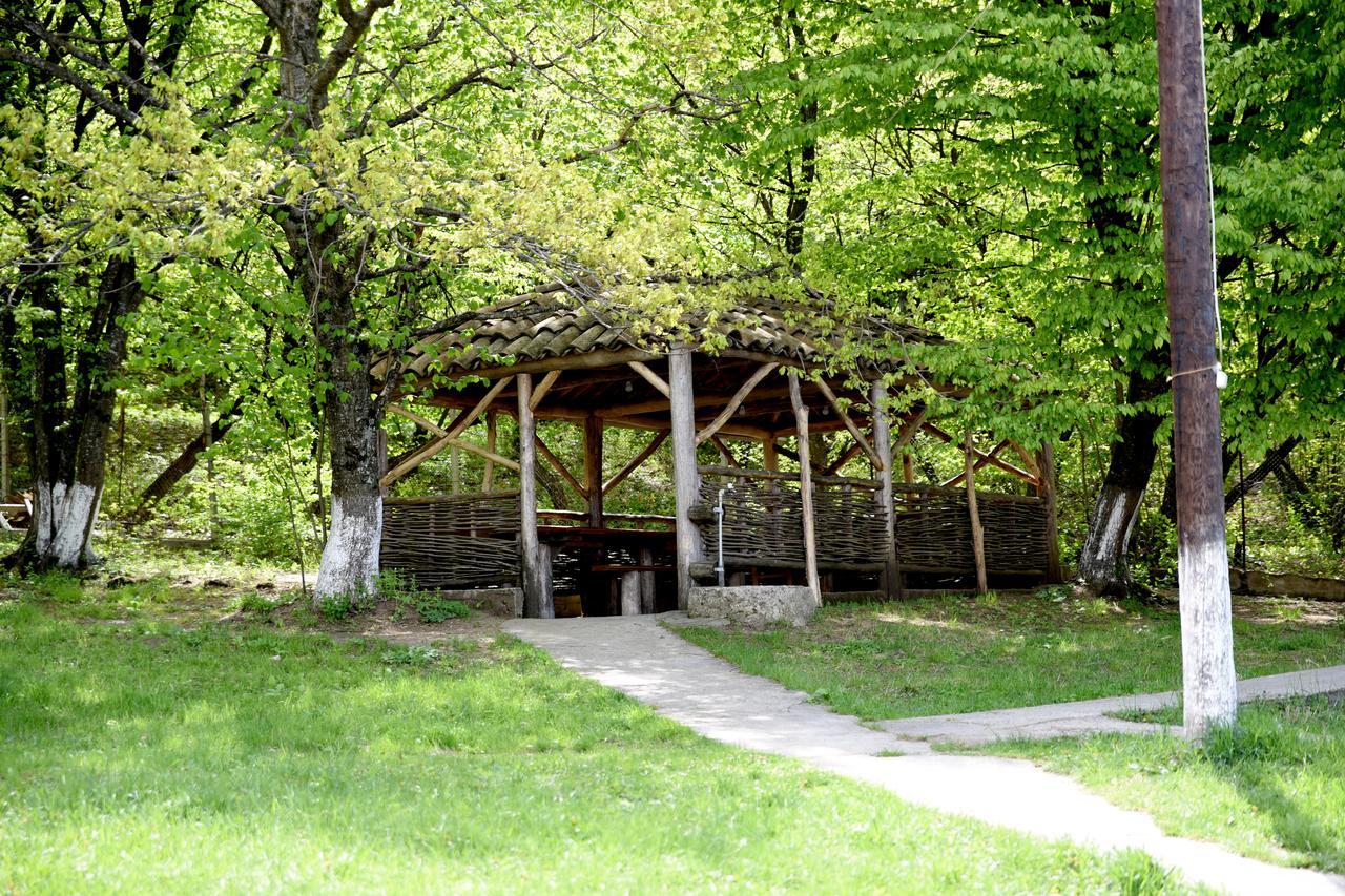 Nikala Bed & Breakfast Telavi Bagian luar foto