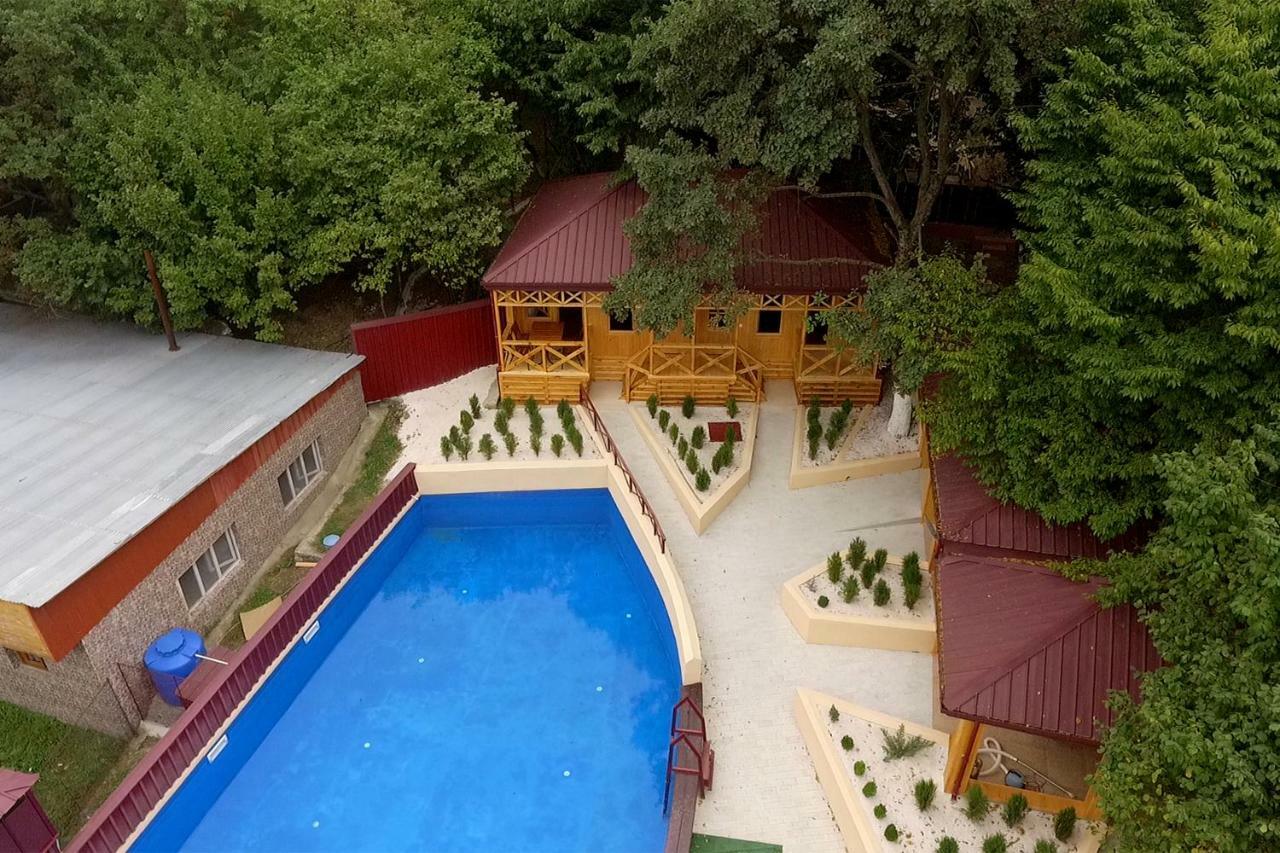 Nikala Bed & Breakfast Telavi Bagian luar foto