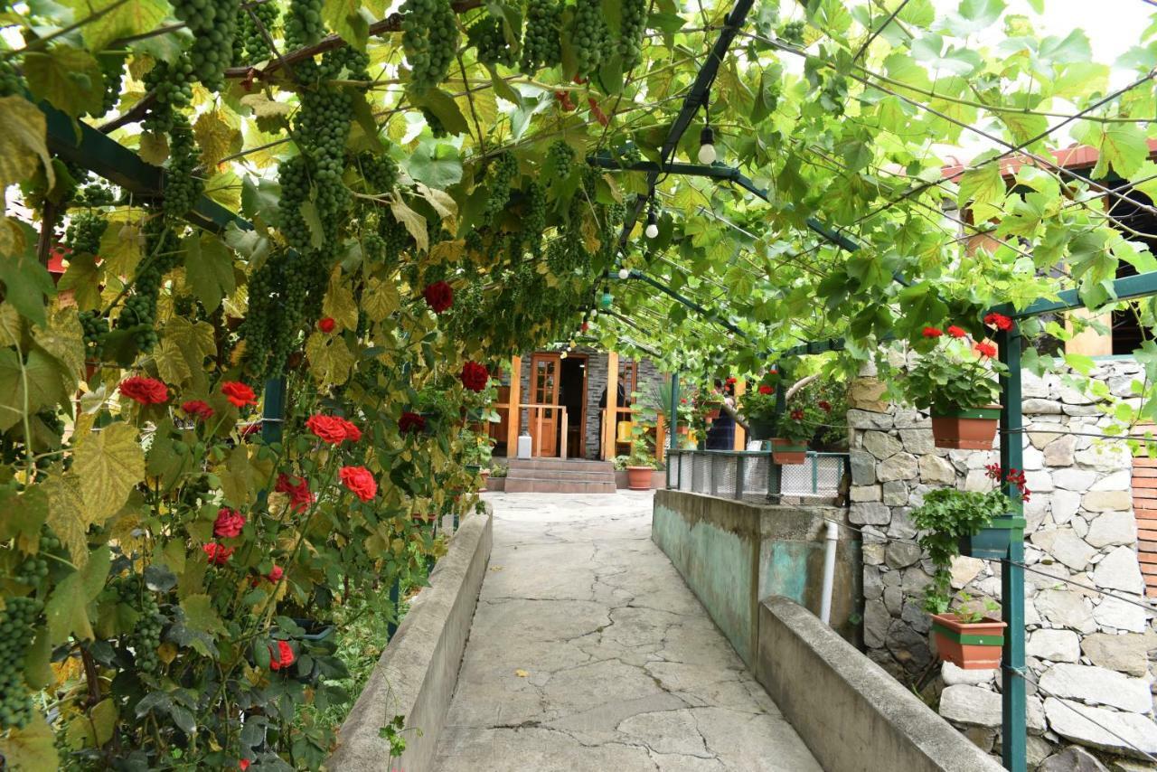 Nikala Bed & Breakfast Telavi Bagian luar foto