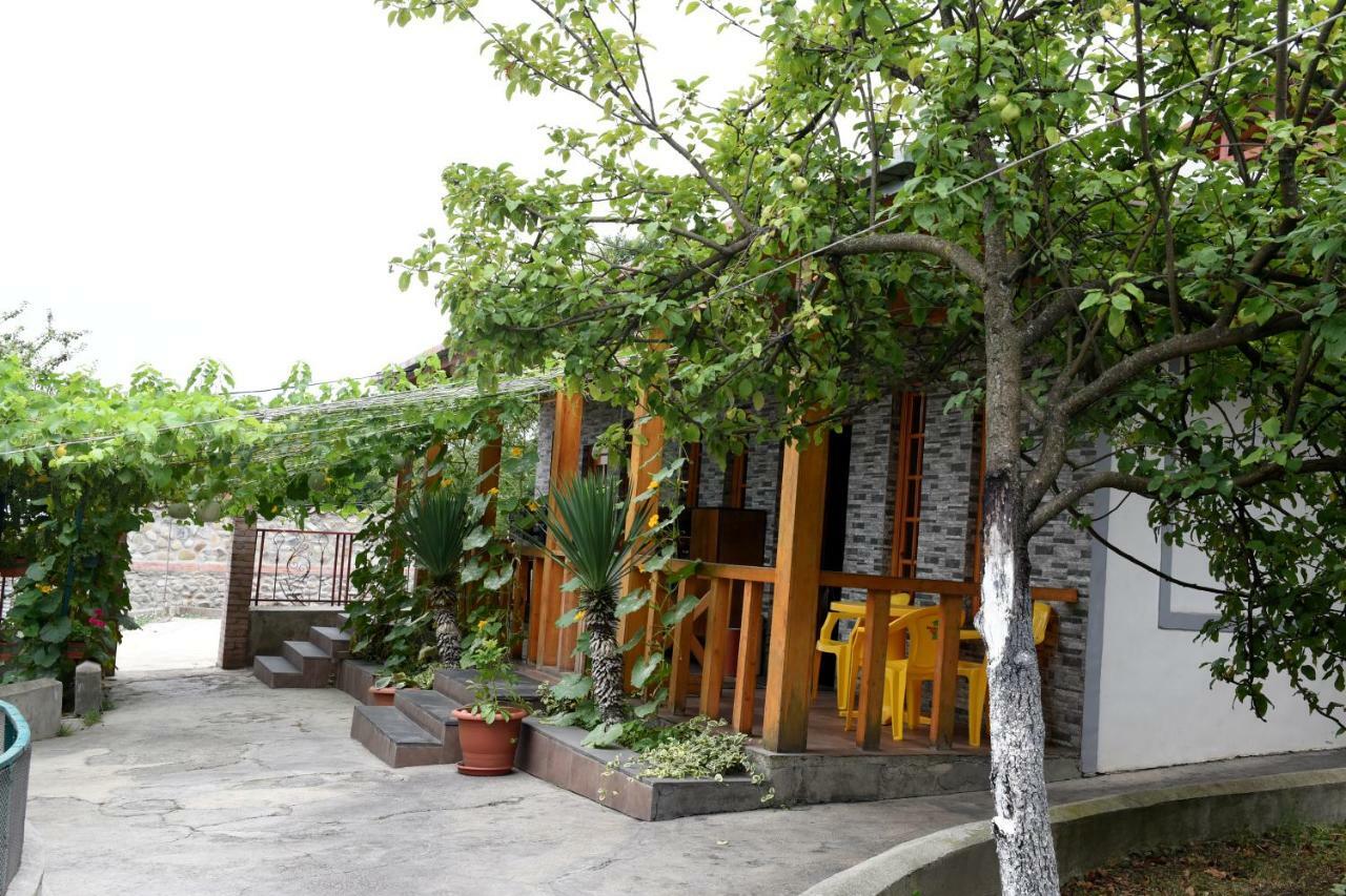 Nikala Bed & Breakfast Telavi Bagian luar foto