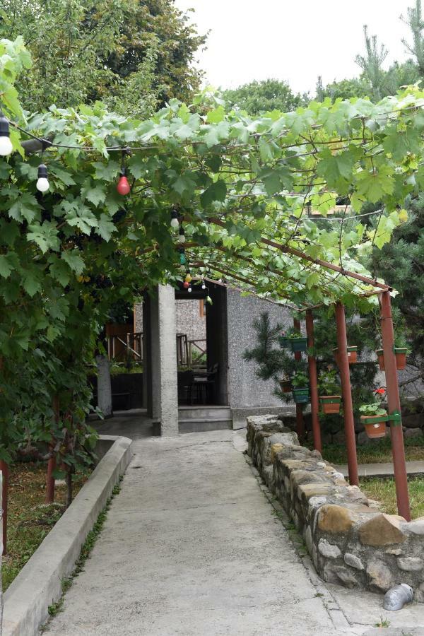Nikala Bed & Breakfast Telavi Bagian luar foto
